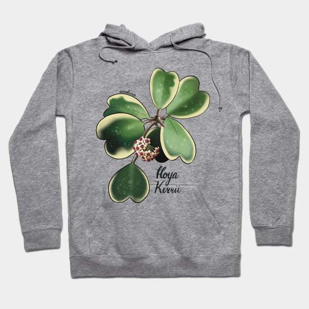 Hoya Kerrii in bloom Hoodie by Wieskunde